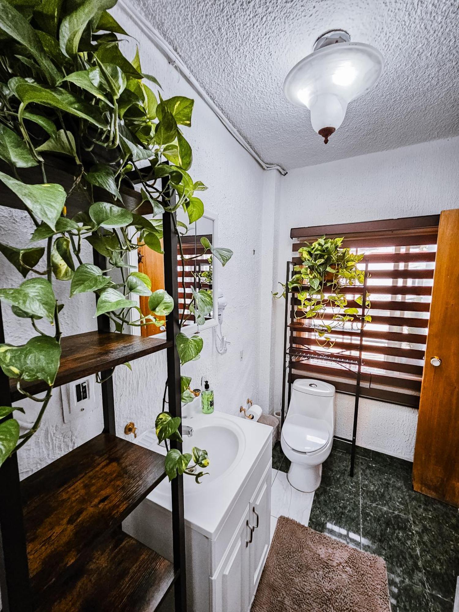 Habitacion Con Bano Privado B, Centro De Coyoacan Mexico By Eksteriør billede